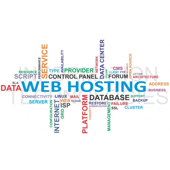 Professional IT Services - Hosting and 20 Emails Accounts